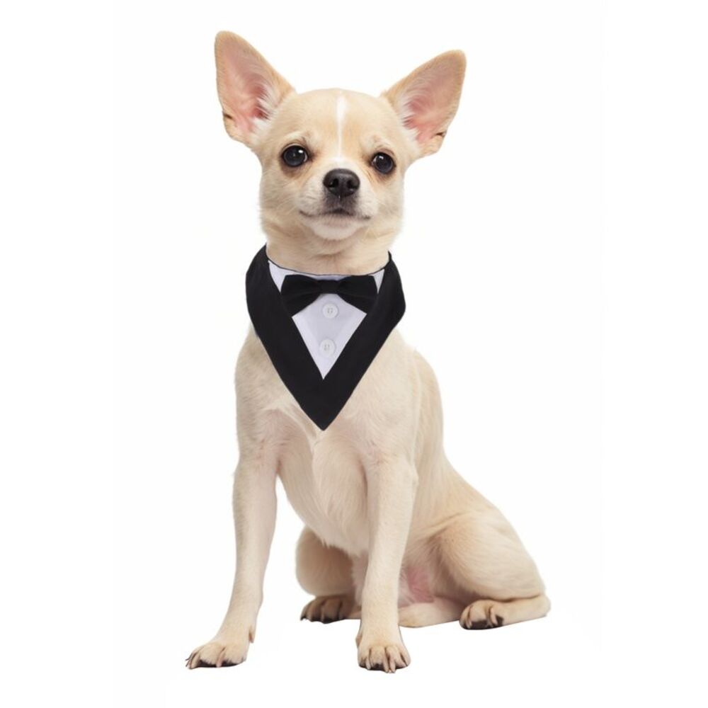 Adjustable Magic Tapes Dog Formal Tuxedo with Bowtie Medium Size Black